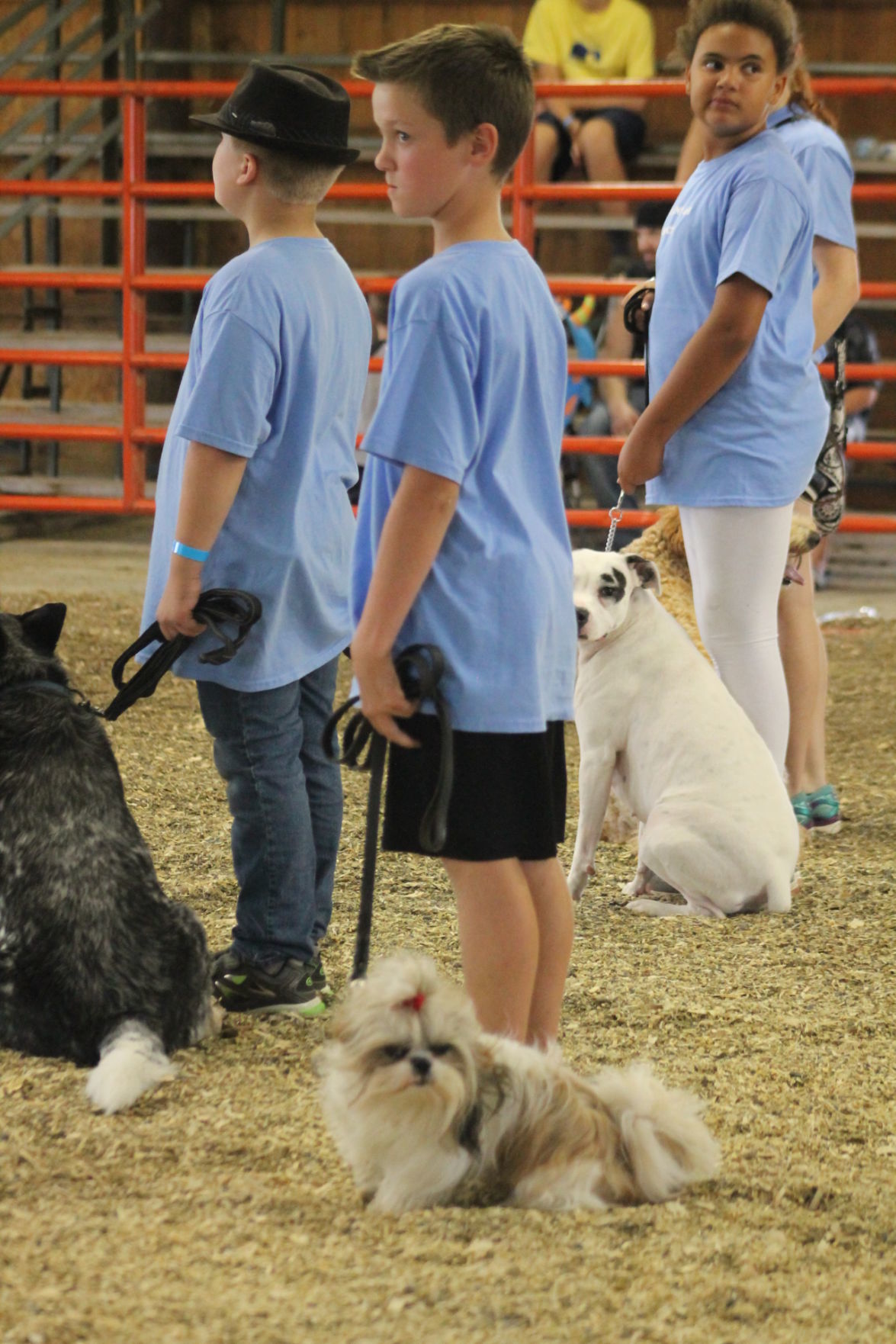 Wed. at the DC Fair 056.JPG
